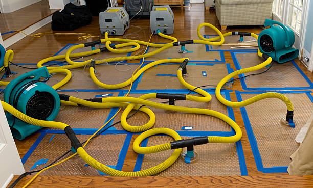 Professional Sewage Cleanup technician working in Highland, OH